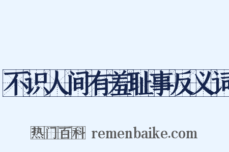 不识人间有羞耻事反义词是什么意思的图片